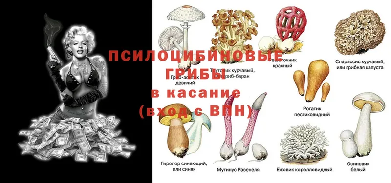 Наркота Ленинск-Кузнецкий АМФ  Alpha-PVP  Меф мяу мяу  COCAIN  Марихуана 