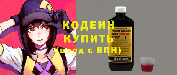 стафф Иннополис